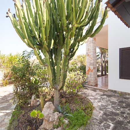 מרינה די מנקוורסה Villa Rose מראה חיצוני תמונה