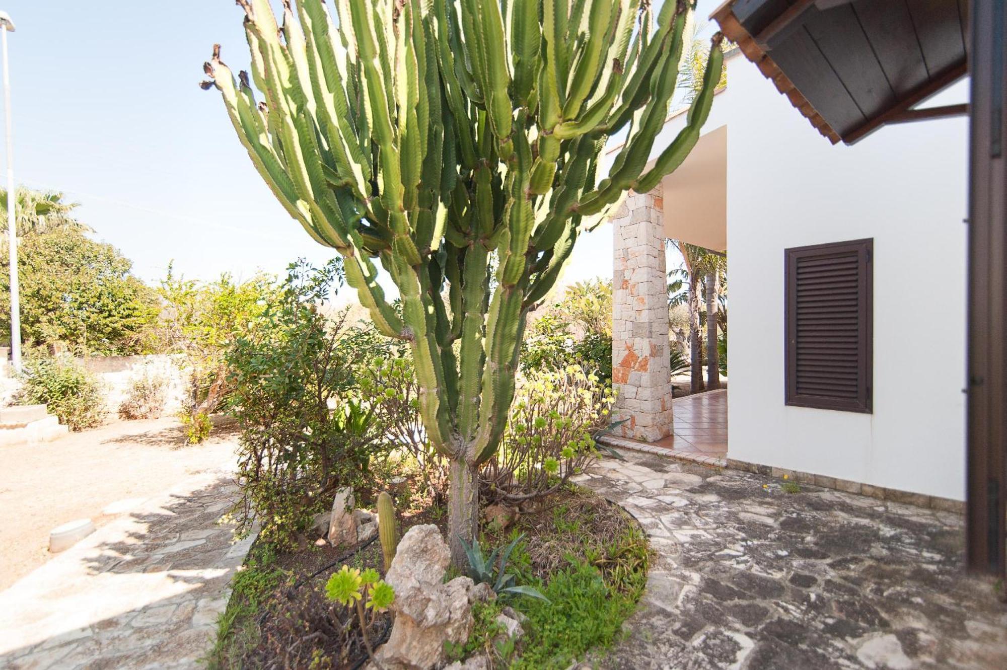 מרינה די מנקוורסה Villa Rose מראה חיצוני תמונה