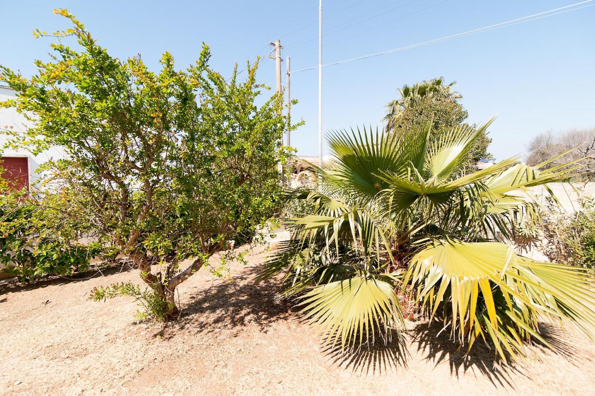 מרינה די מנקוורסה Villa Rose מראה חיצוני תמונה